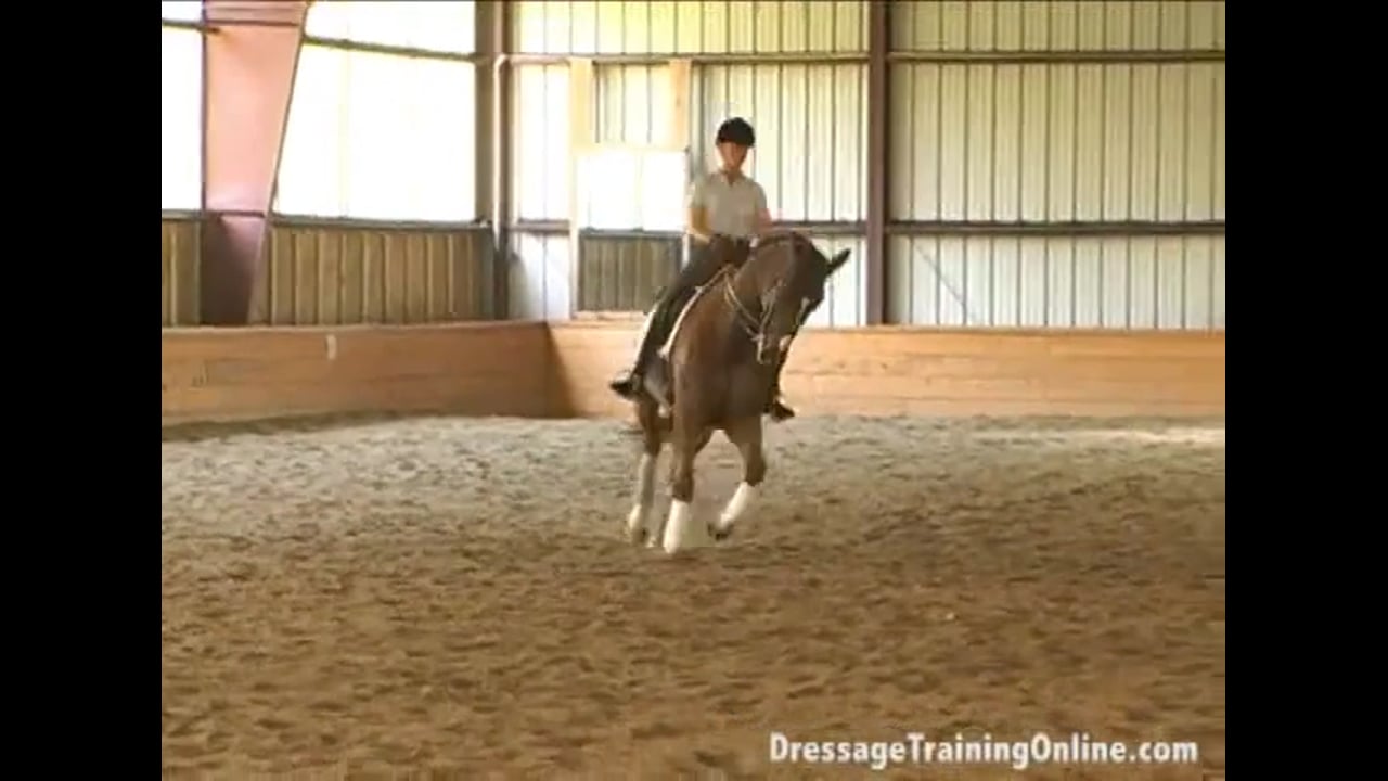 Getting Your Horse Sensitive | Courtney King-Dye | PART 02