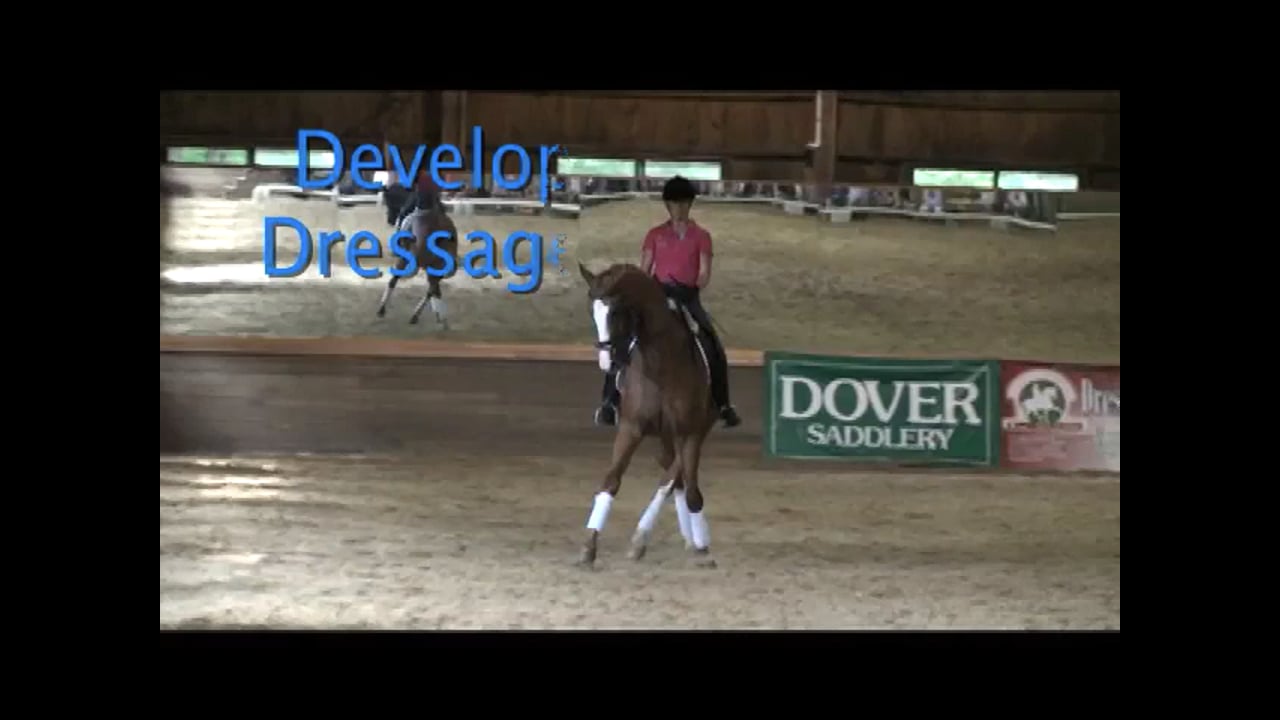 Developing Nations Dressage Symposium: Judging GP | Axel Steiner | PART 02