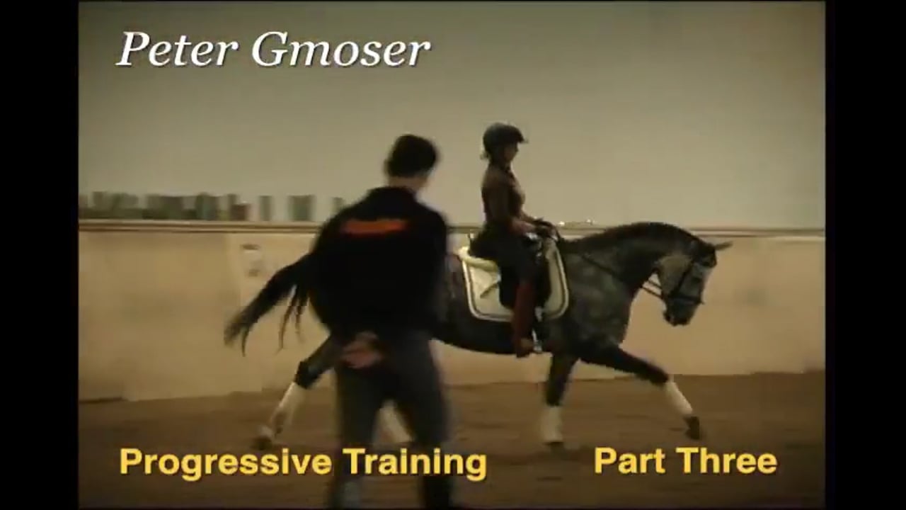 Progressive Training | Peter Gmoser | PART 03