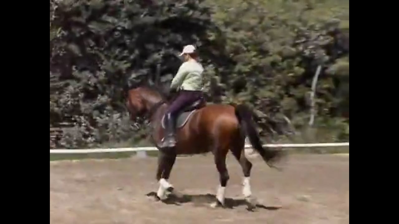 Getting the Horse More Put Together, Using Corners | Catherine Haddad | PART 02