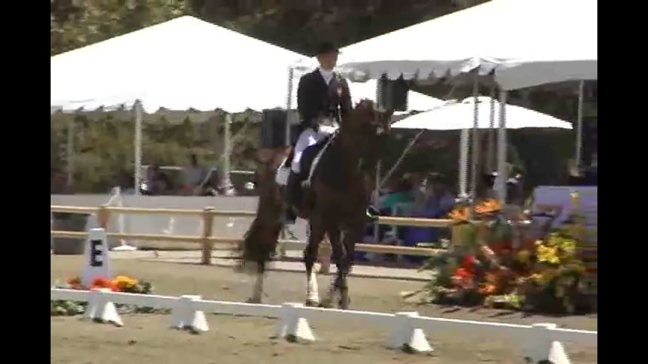 Grand Prix Movements | Joyce Heuitink | PART 02