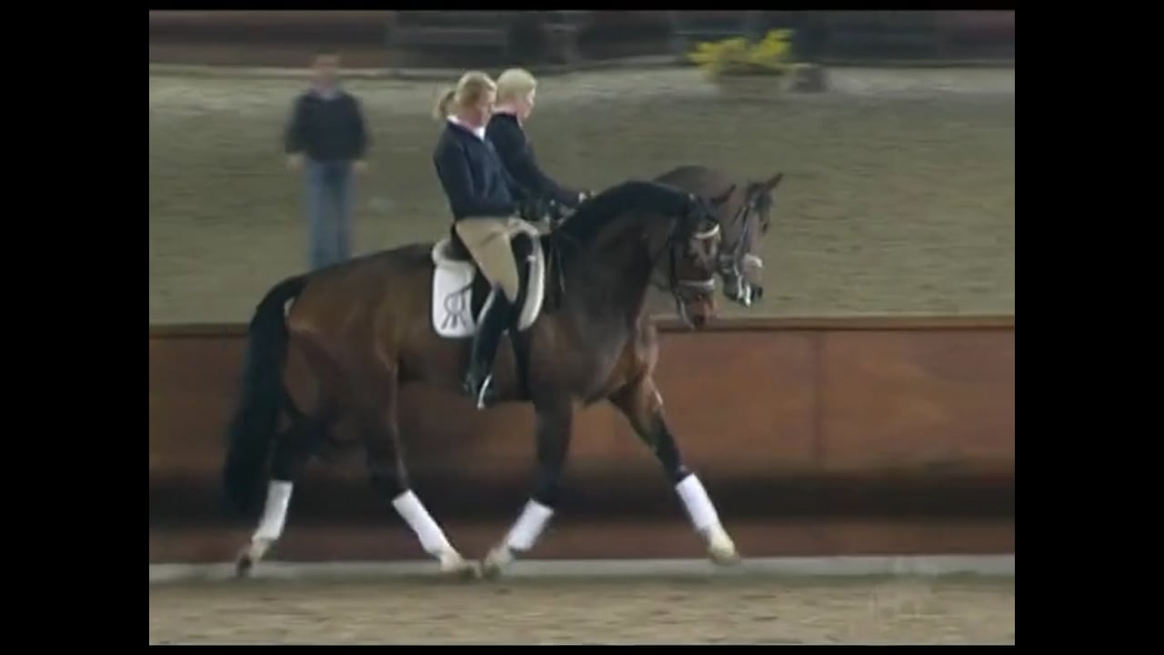 Getting The Shoulders Straight | Sandy Phillips | PART 01