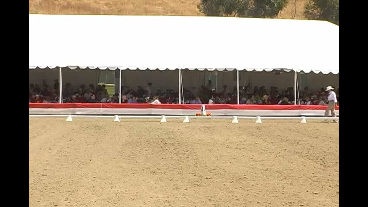 GP Day 2 Session 2, Test Ridden & Scored, Movements Schooled | Axel Steiner