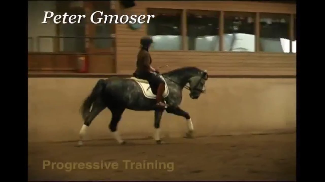 Progressive Training | Peter Gmoser | PART 05