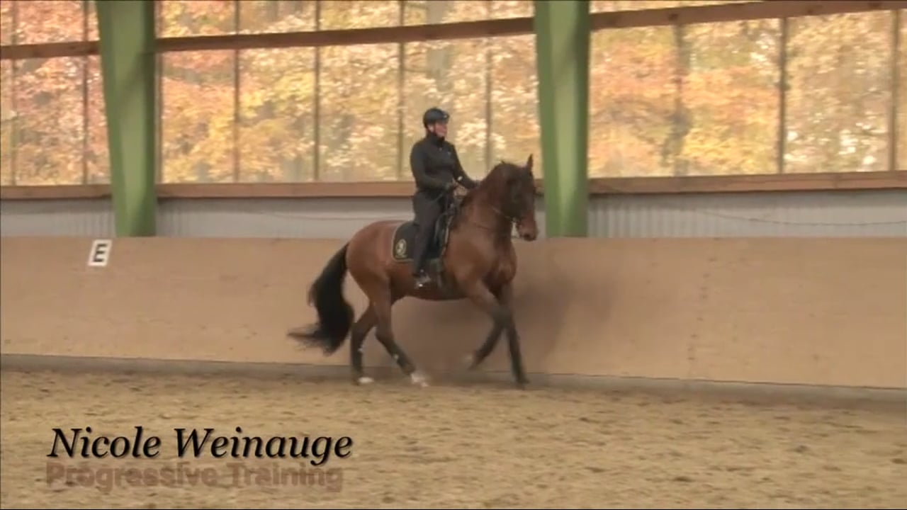 Acceptance of the Double Bridle and How To Use it | Nicole Weinauge | PART 02