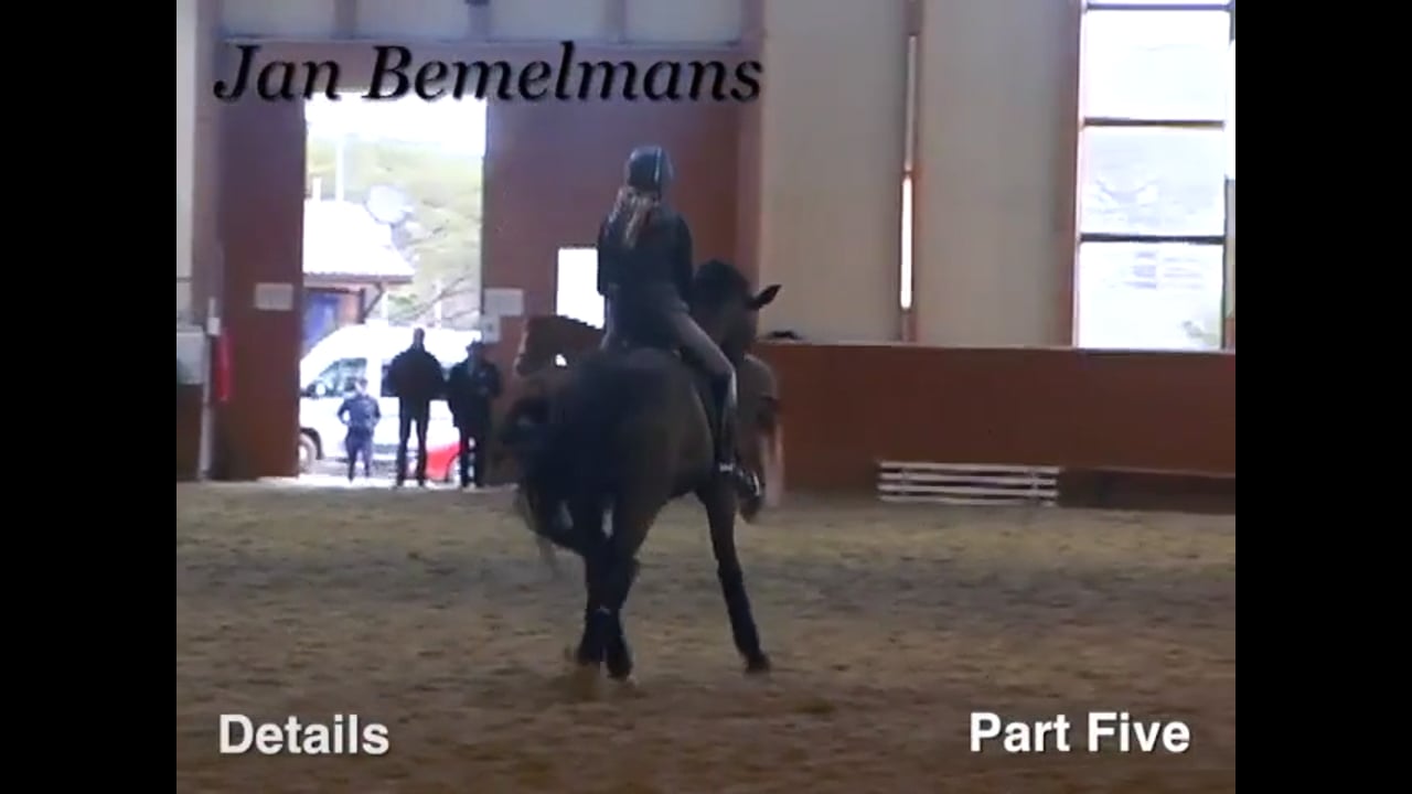 Half pass, Piaffe, Passage, Tempi changes - Part 4