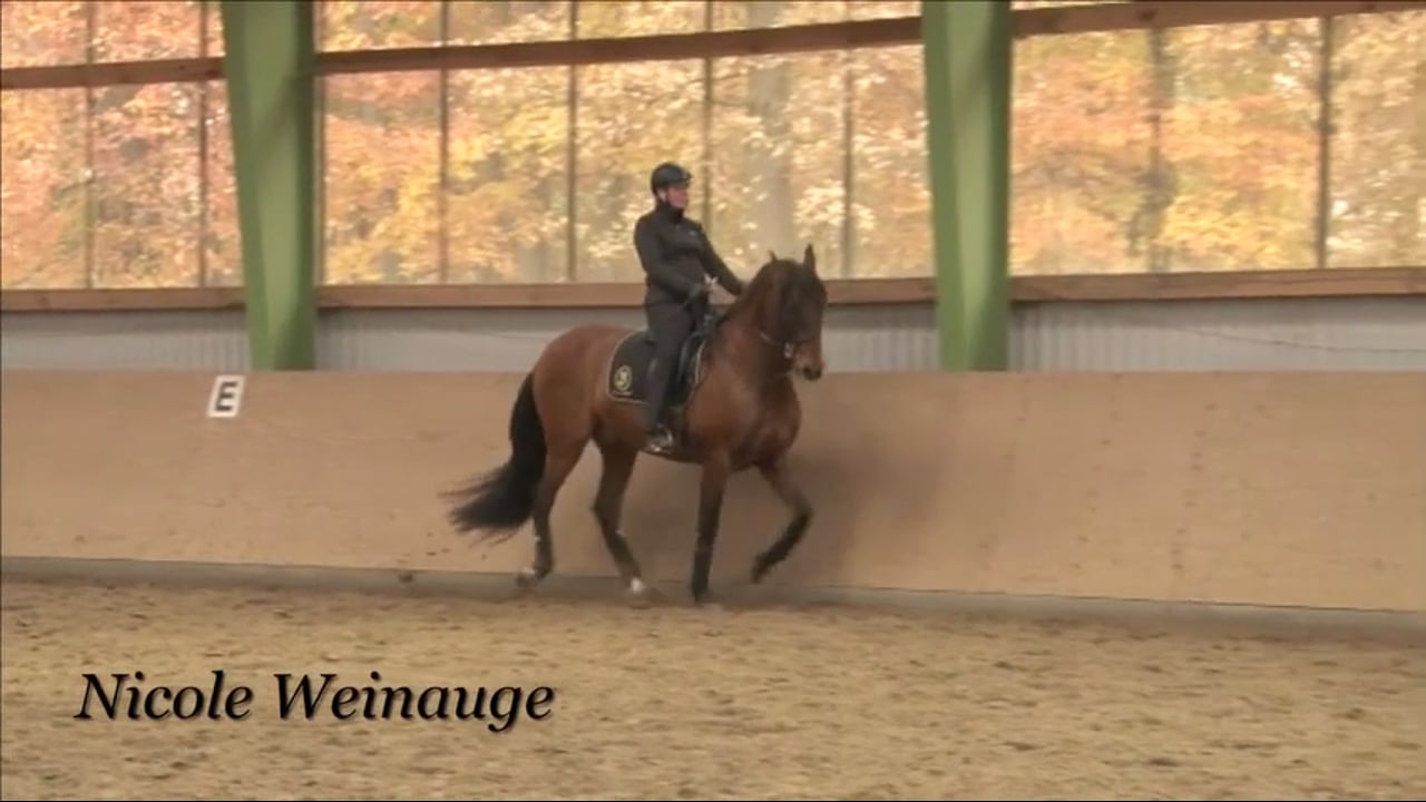Ground work, acceptance of double bridle with Nicole Weinauge, Part 5