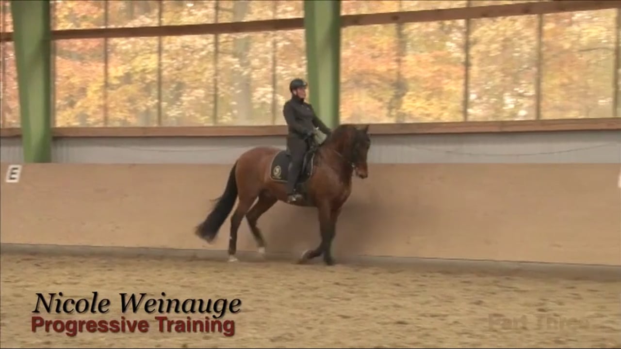 Acceptance of the Double Bridle and How To Use it | Nicole Weinauge | PART 03