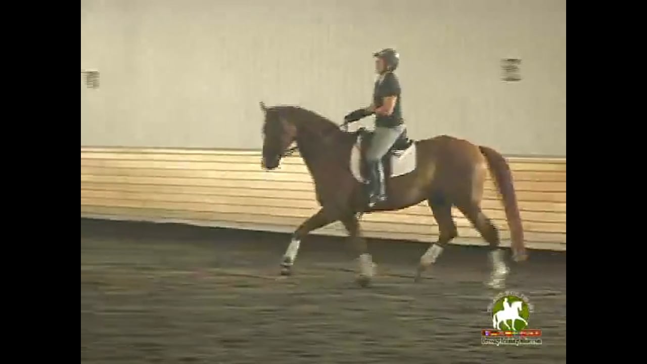 Contact, Frame, Transitions, Work in Hand | Colonel Christian Carde | PART 03