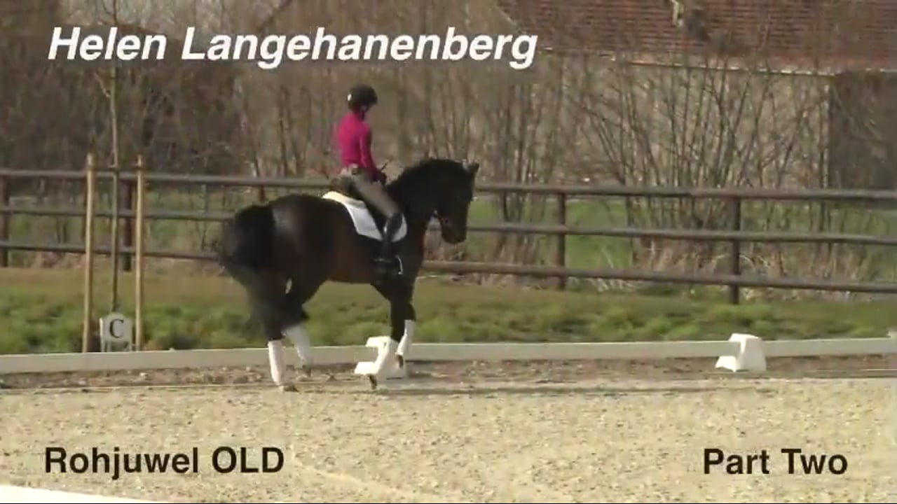 Rohjuwel OLD | Helen Langehanenberg | PART 02