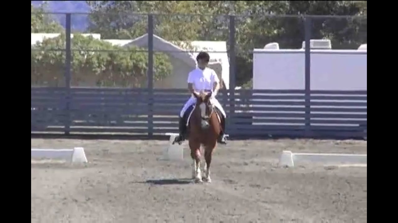 Hilda Gurney judging Training Level Test 3
