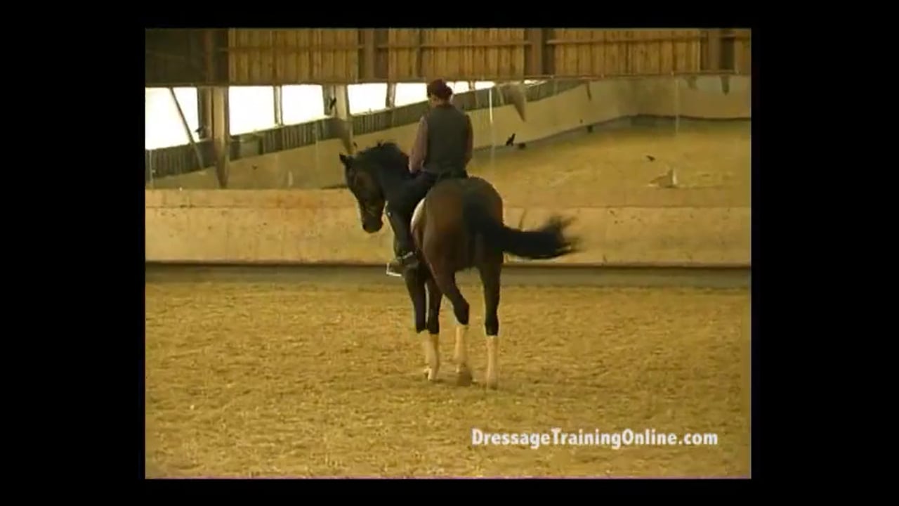 Hot Thoroughbred - Part 2