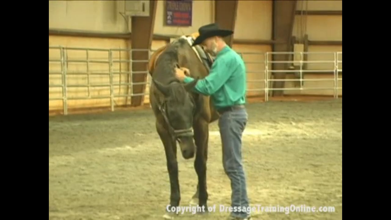 How to control the energy you create by Henk Van Bergen part 2