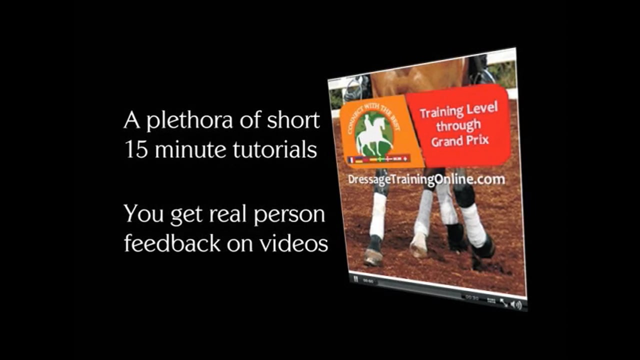 Have A Plan For Your Warm Up, Two Stars Horses & Riders - Part 2