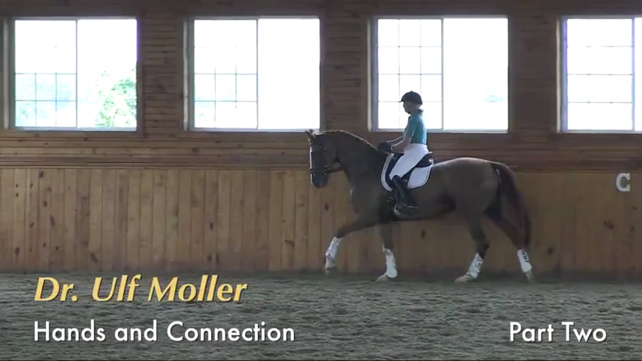 Hands and Connection | Dr Ulf Moller | PART 02