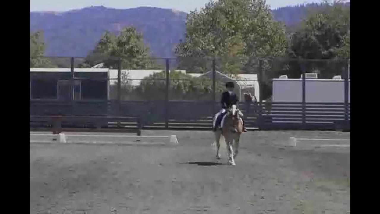 Judging Training Level Test 4 | Hilda Gurney