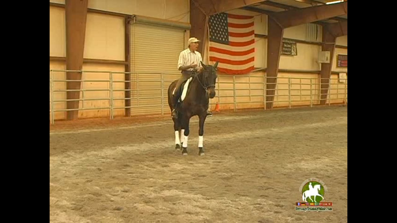 How to fit a saddle, Nine Steps to Proper Saddle Fit