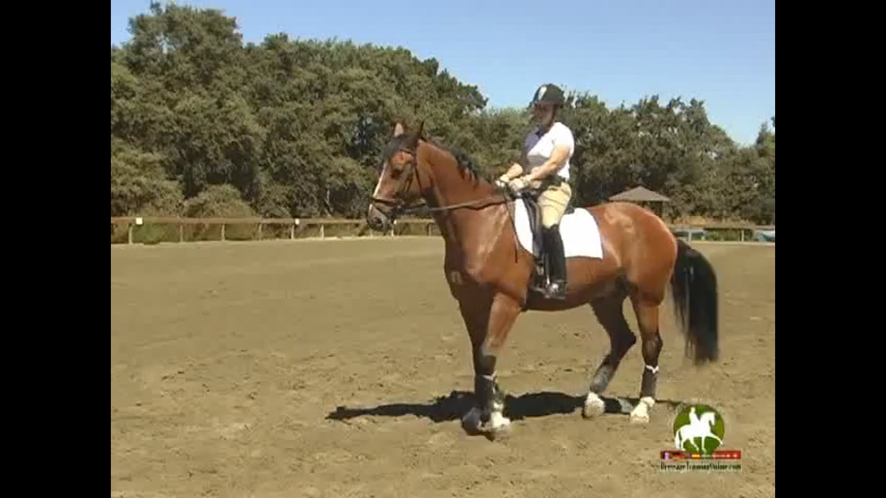 How to Better Your Shoulder In | Catherine Haddad