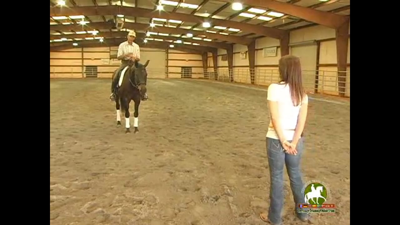 How to Deal with a Rearing Horse and Bridling Issues | Kenny Harlow | PART 02