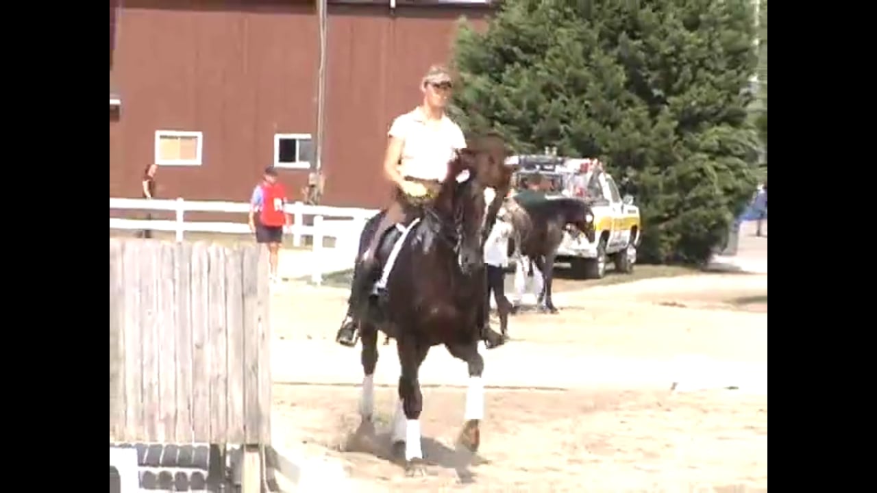 How to Improve the Canter Half Pass, & Flying Changes | Jan Brink | PART 02