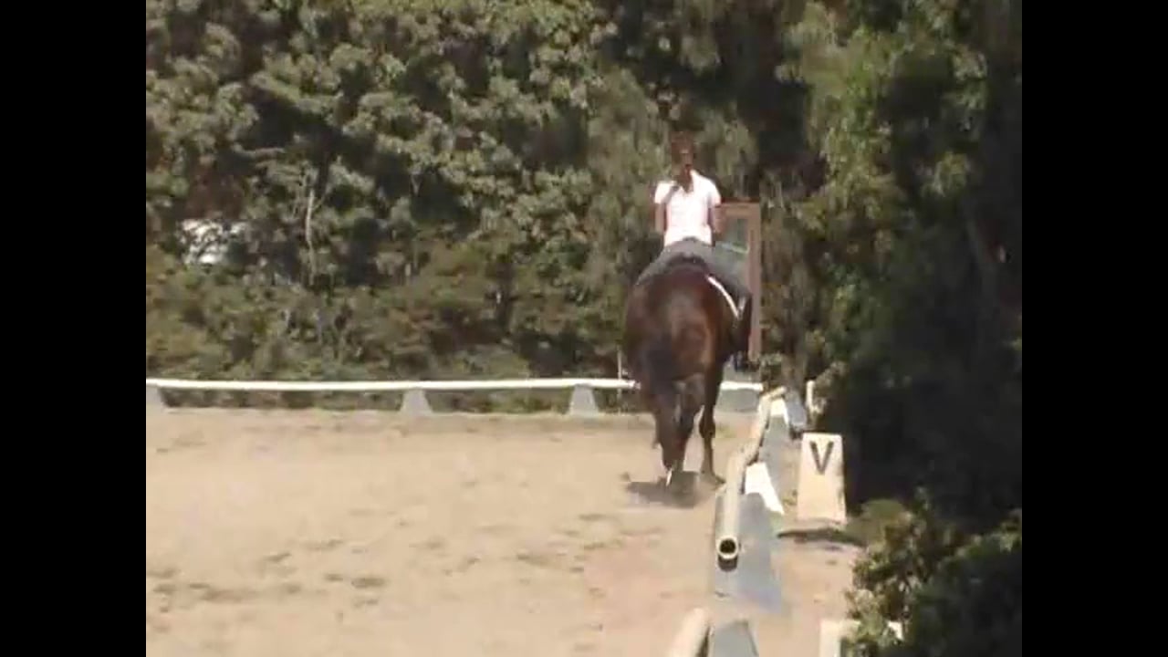 Keeping the Horse Together and in a Relaxed State | Courtney King-Dye | PART 01