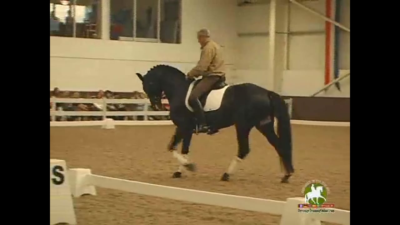 Hind Leg Releases
