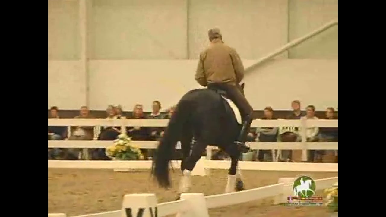 His Journey in Dressage