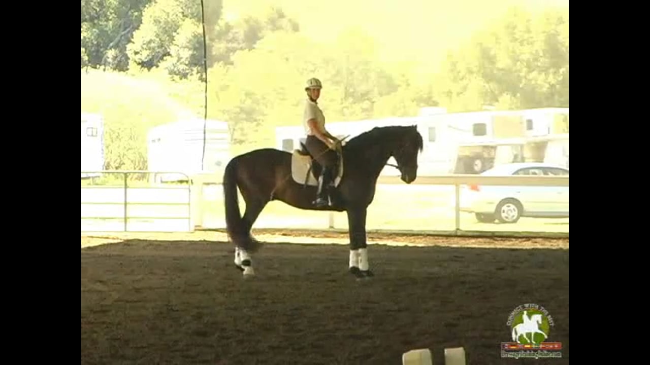 Hilda Gurney judging Second Level, Test 4