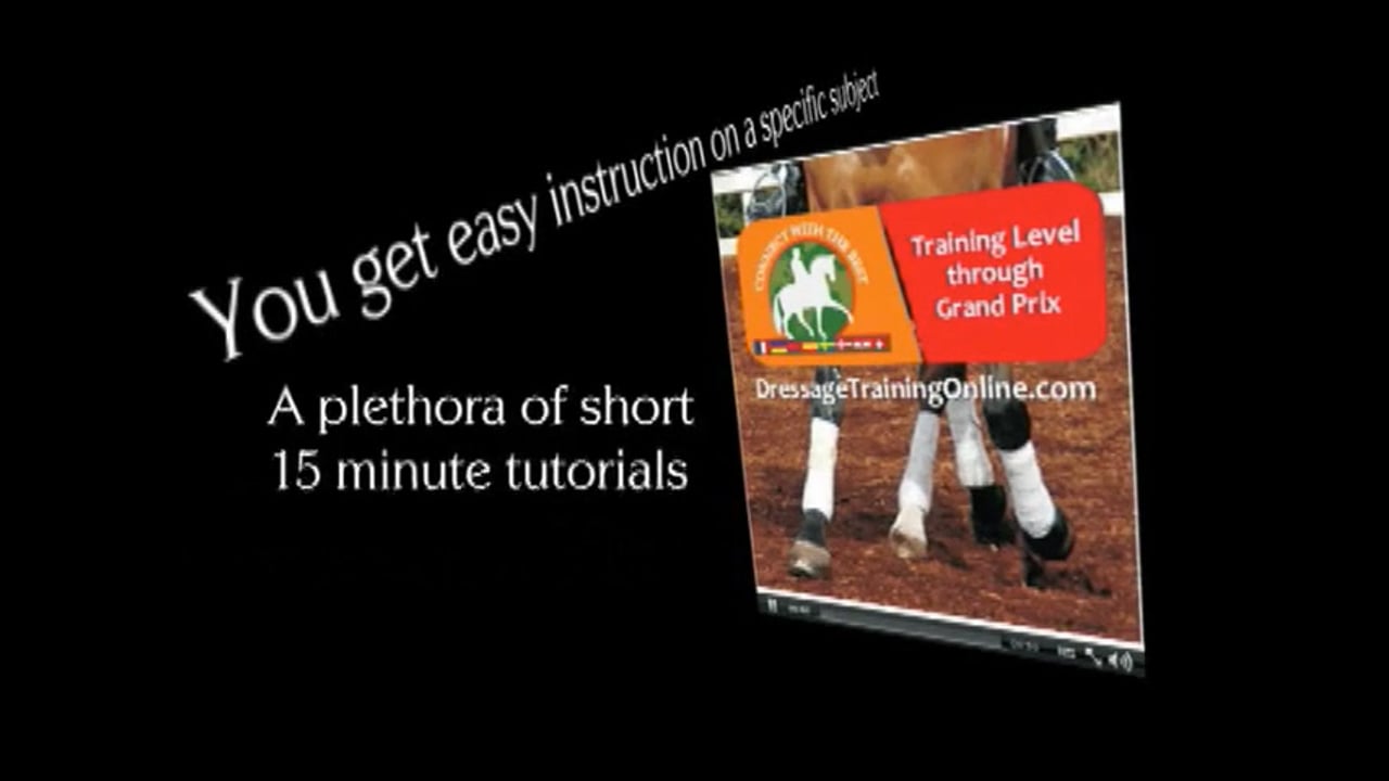 How to strengthen the hind end - Martin Schaudt