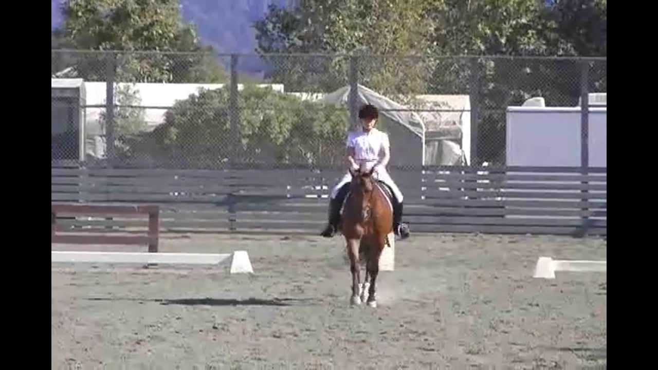 Judging Second Level Test 4 | Hilda Gurney | PART 01