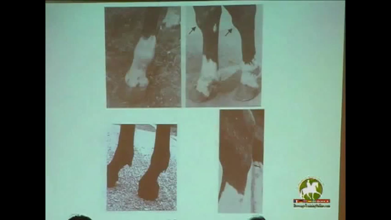 ICP Clinic Position Statement | Christopher Hess | PART 04