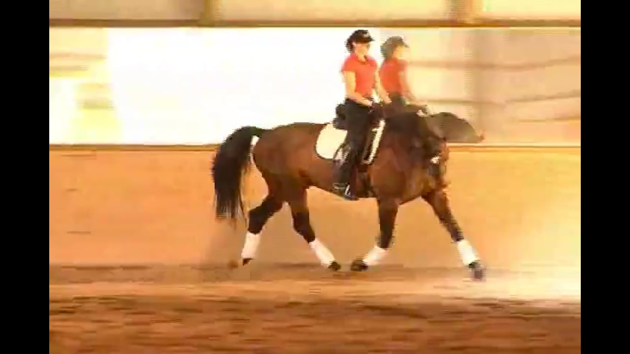 How to Ride the Shallow Loop in Trot | Hilda Gurney