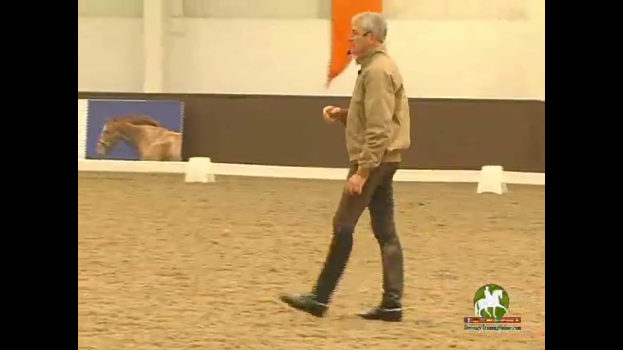 Identifying superstars, From Breeding to FEI