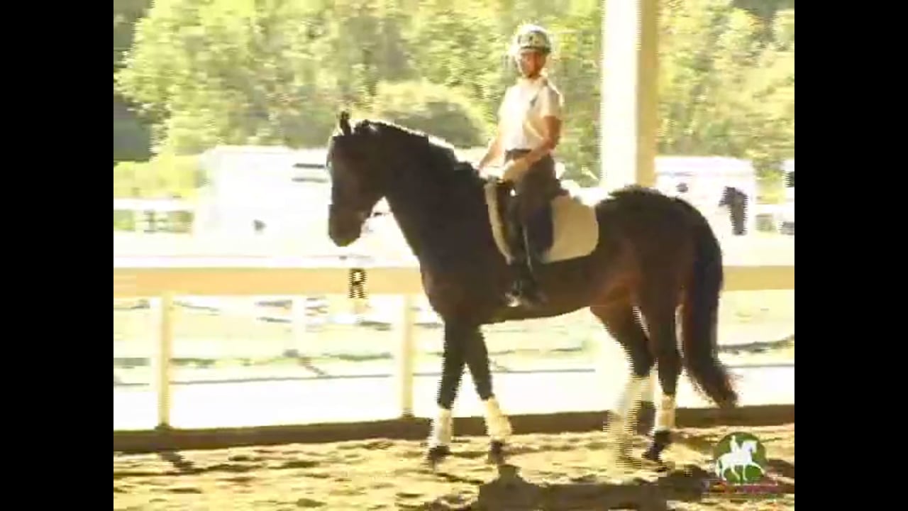 Hilda Gurney judging Second Level Test 4