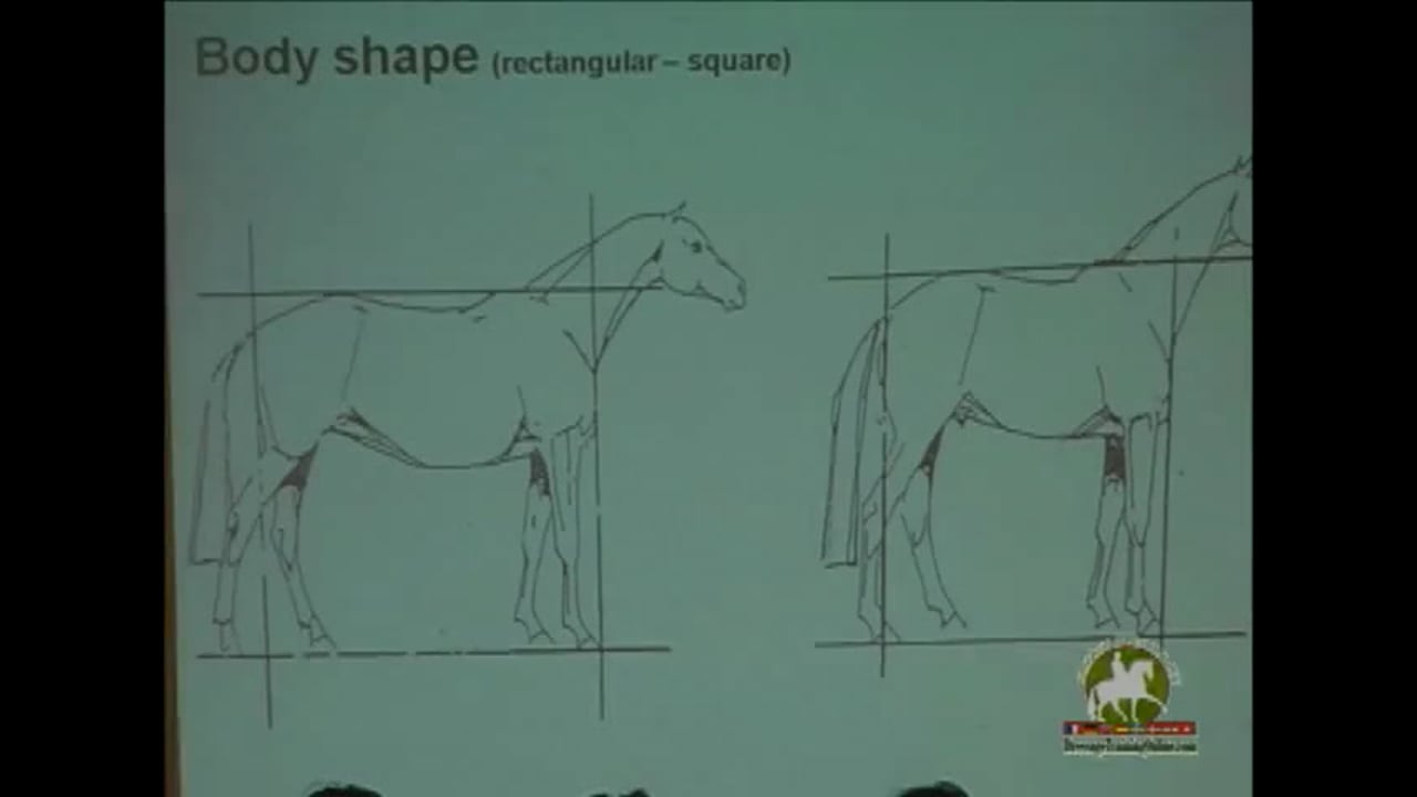 ICP Clinic Position Statement - Trailer 2