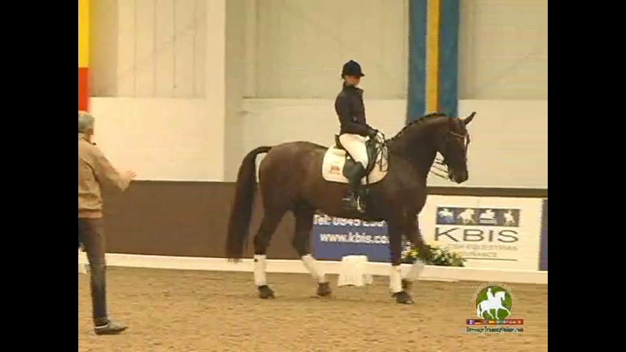Identifying superstars, From Breeding to FEI