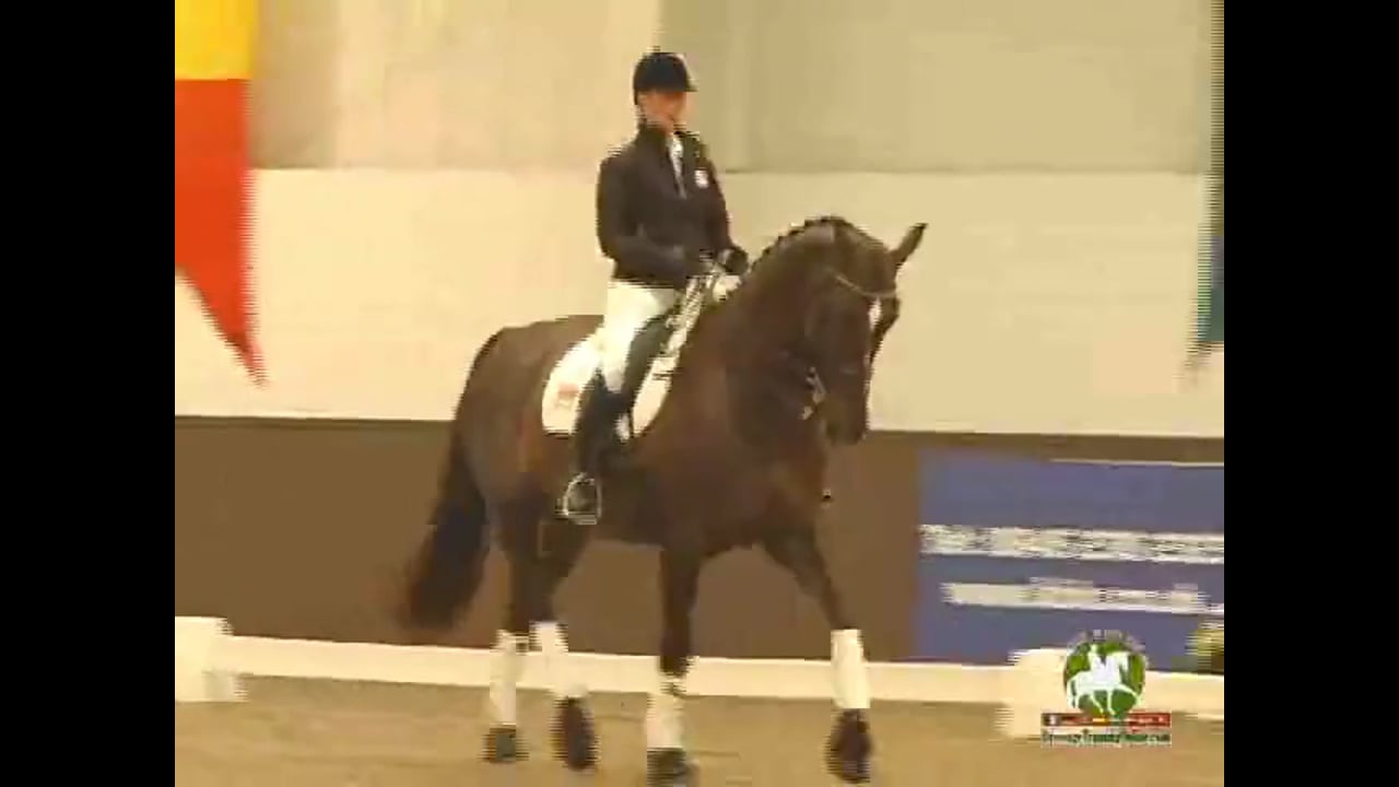 Identifying superstars, From Breeding to FEI