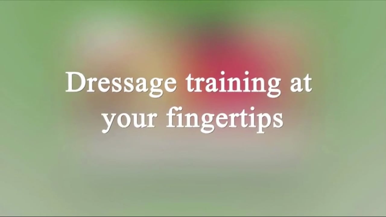 How to half halt, How to Halt, How to Use the Hand and Arm