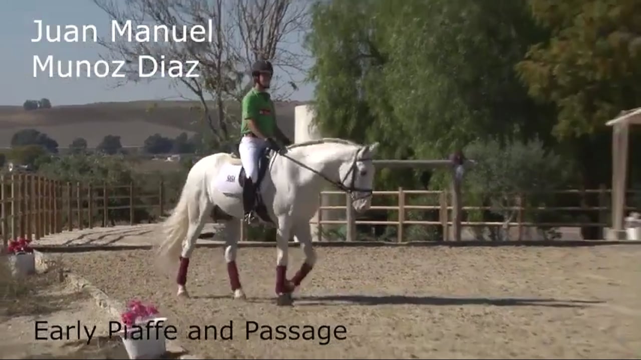 Early Piaffe and Passage | Juan Manuel Munoz Diaz | PART 02