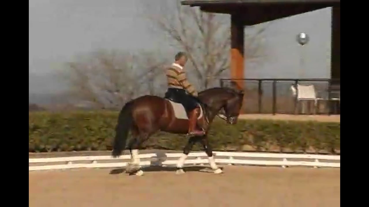 How to keep the horse together and in a relaxed state with Courtney King-Dye Par