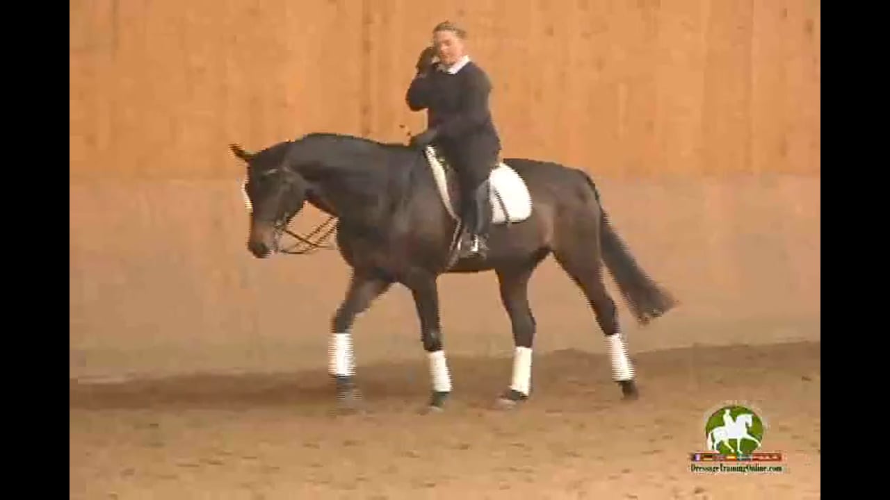 How to use the Double Bridle - Hilda Gurney