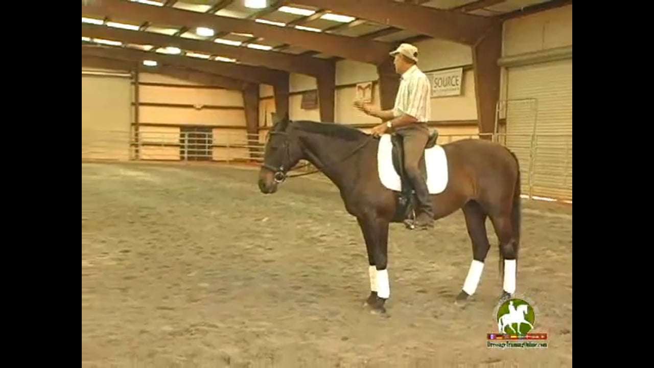How to fit a saddle, Nine Steps to Proper Saddle Fit