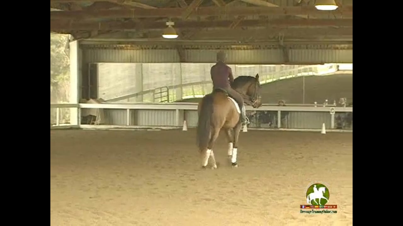 Improving The Jumping Technique Of The Horse | Boyd Martin | PART 05