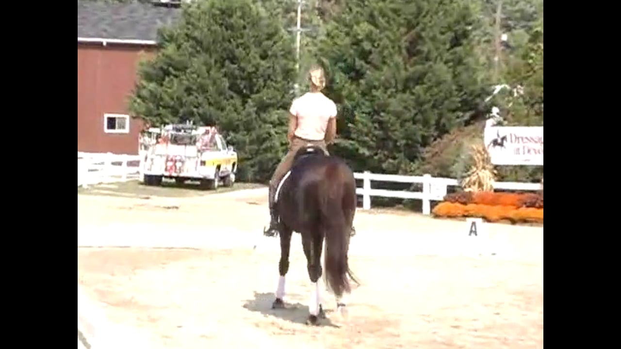 How to Improve the Canter Half Pass, & Flying Changes | Jan Brink | PART 03