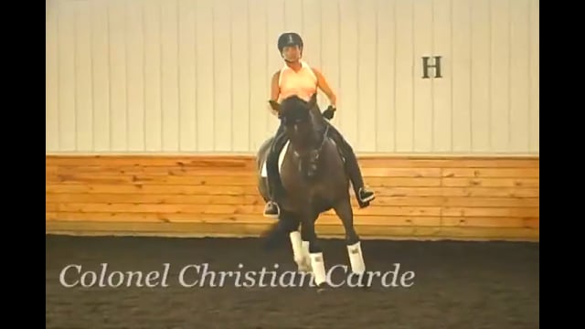 Improving the changes keeping the horse straight and bigger change behind - Henk