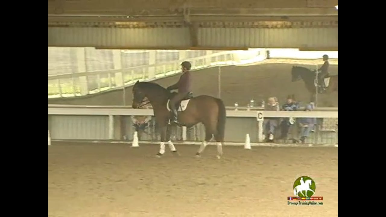 Improving The Jumping Technique Of The Horse | Boyd Martin | PART 06