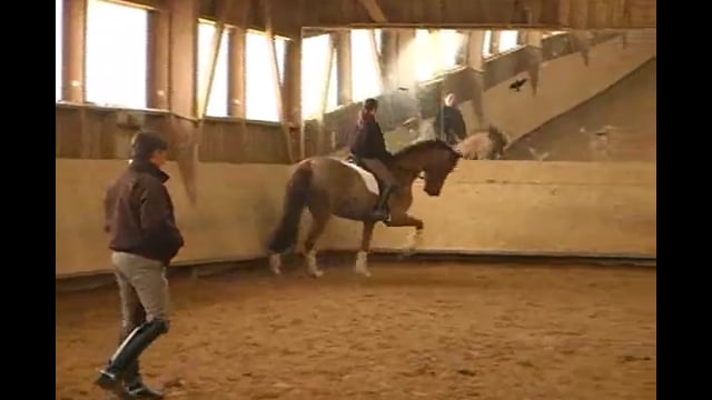 Improving the Contact with Colonel Christian Carde