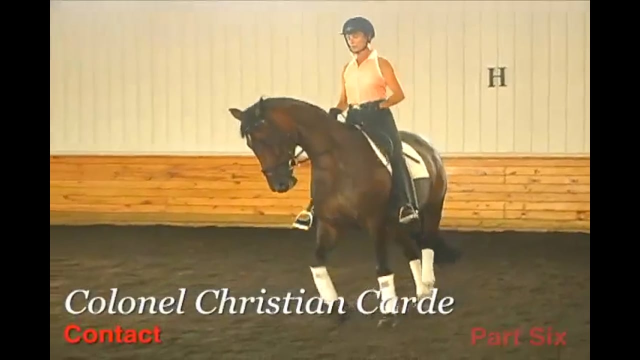 Improving the changes keeping the horse straight and bigger change behind - Henk