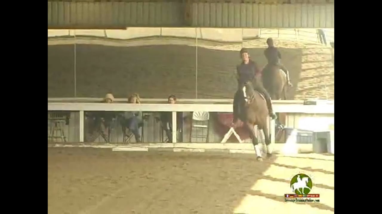 Improving The Jumping Technique Of The Horse | Boyd Martin | TRAILER 01
