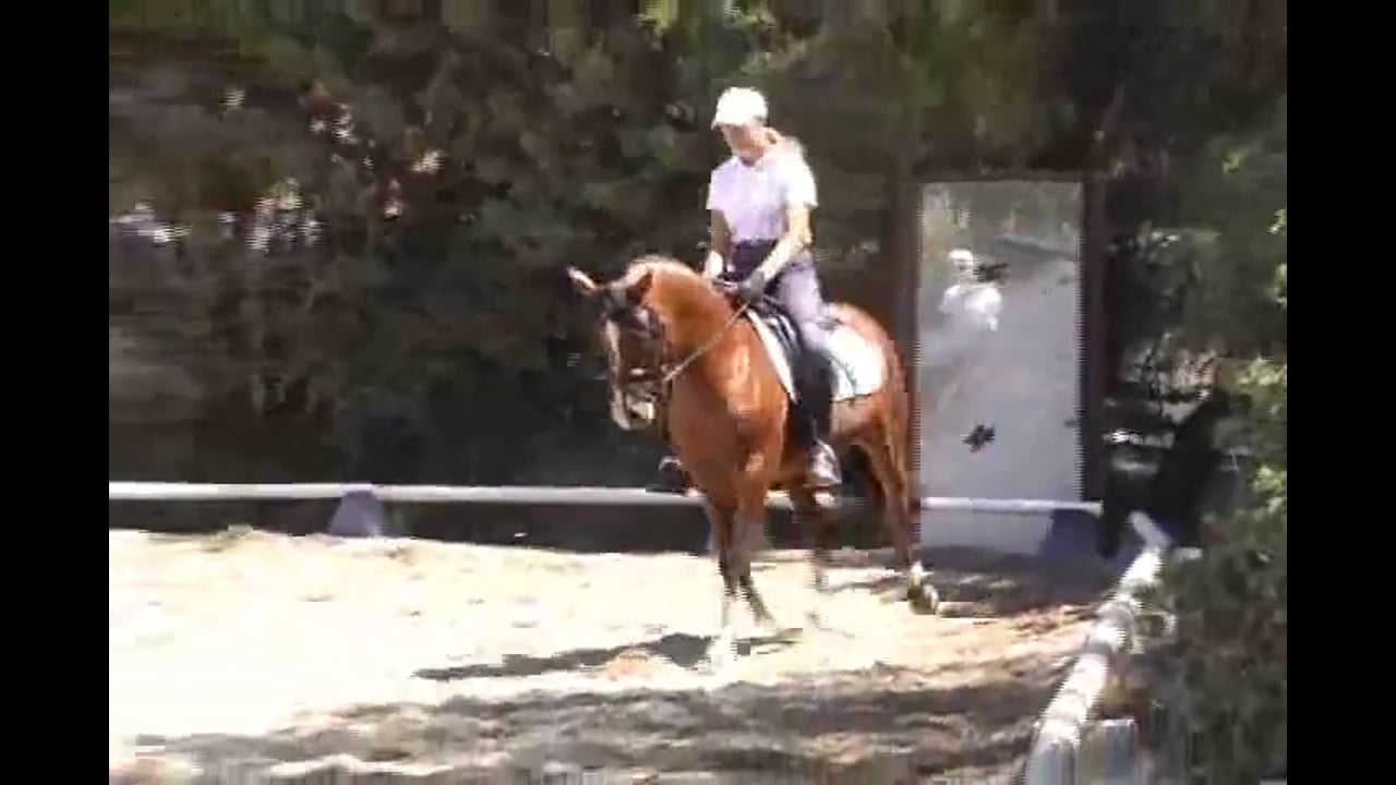 Improving Your Turns For Show Jumping - Part 4